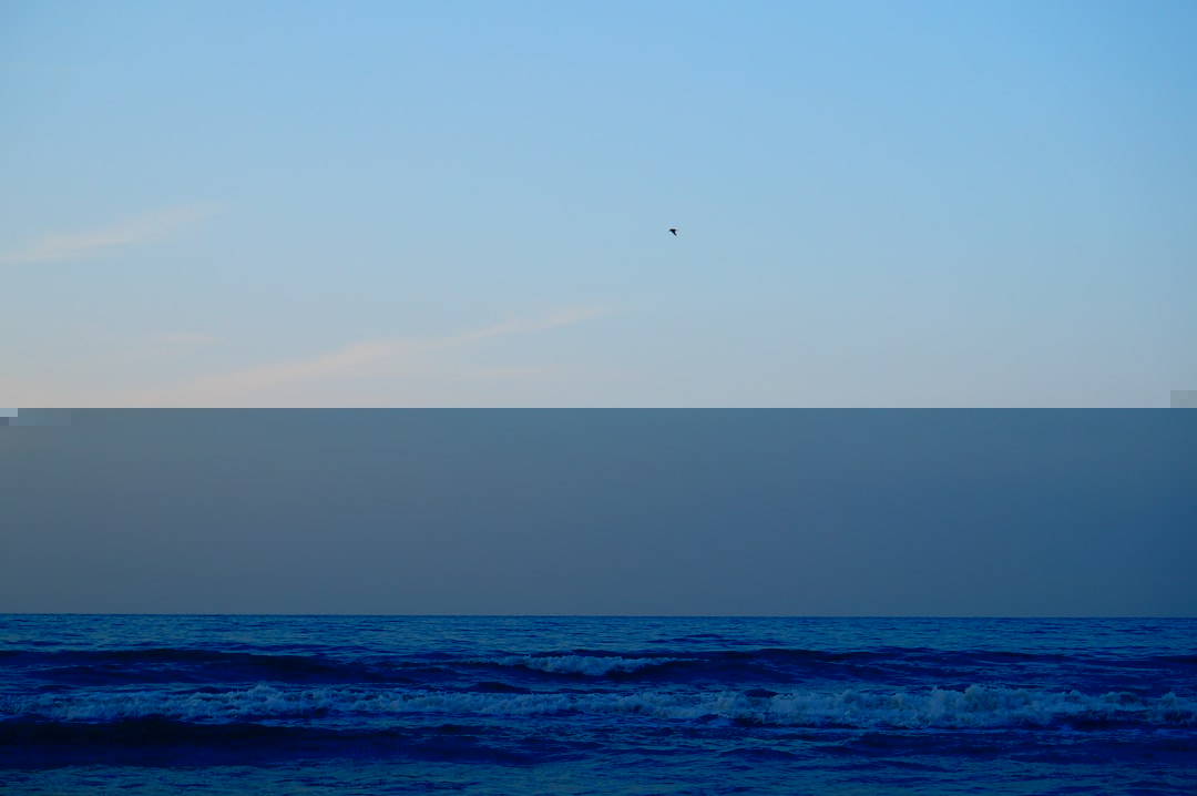 Coastal setting evoking the AtlanticBay platform theme